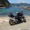 License to Thrill (but only up to 400cc)
