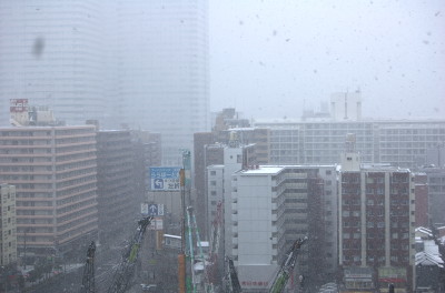 Featured image of post Second Snow in Tokyo