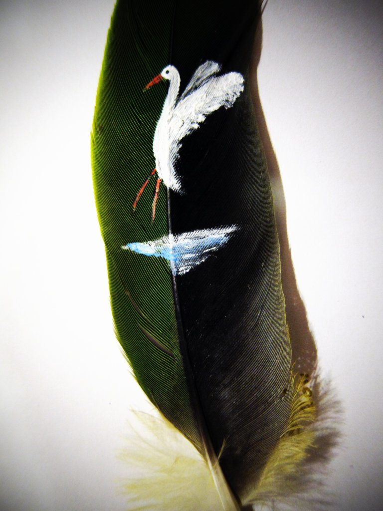Featured image of post Bird on a Feather