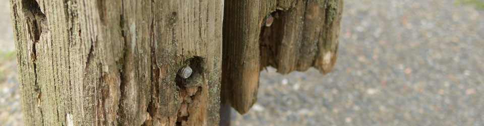 Featured image of post New Header Image: Wooden Posts