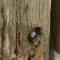 New Header Image: Wooden Posts