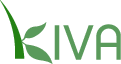 Featured image of post Kiva Update - Two Loans!
