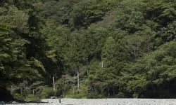 Featured image of post Bike Trip to Tanzawa