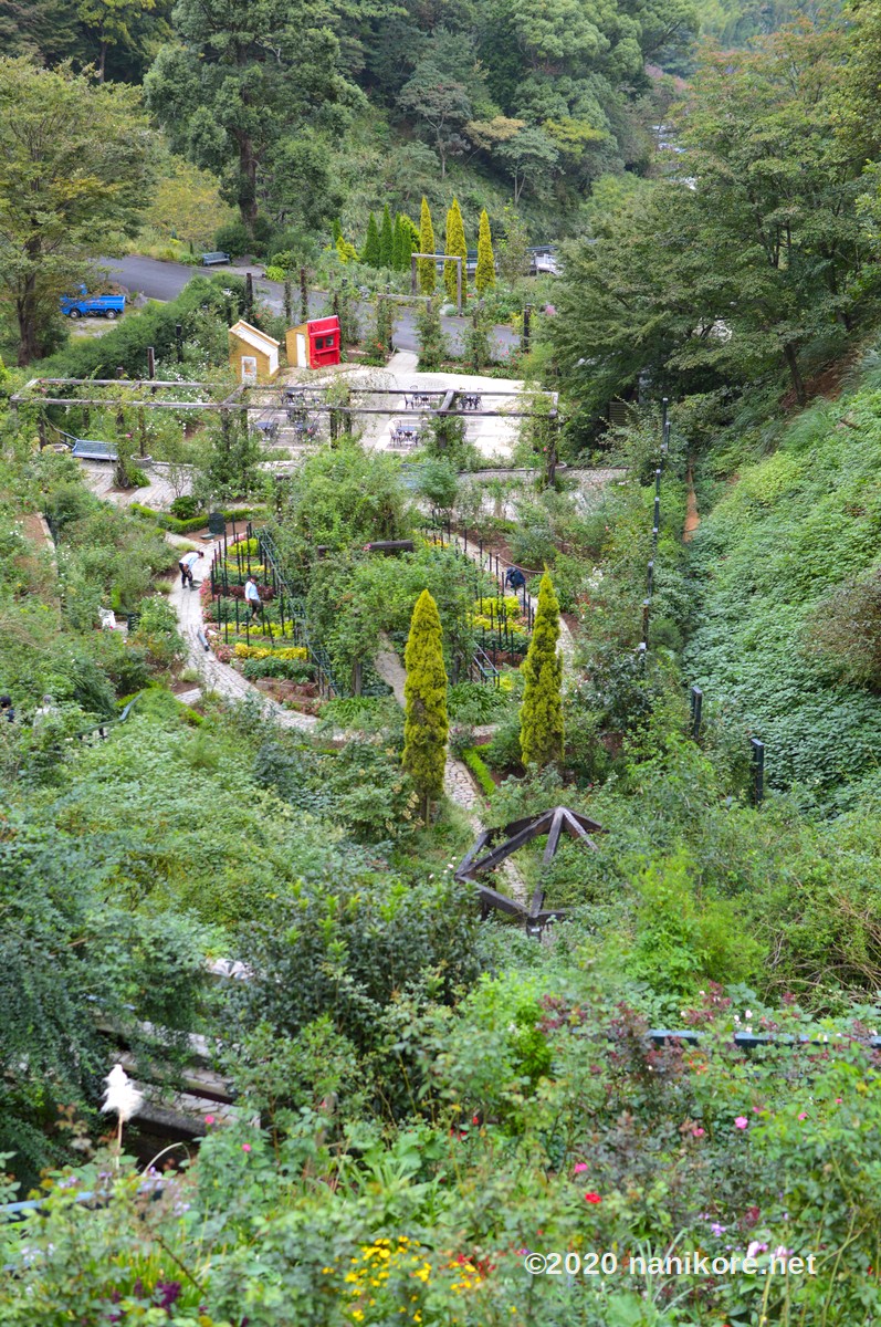 Featured image of post Rose Gardens and Biker's Paradise